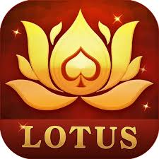 3 patti gold free chips link download